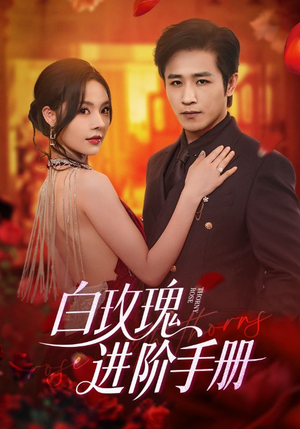 白玫瑰进阶手册短剧（64集情感升级短剧全集高清在线享）