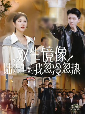 双生镜像陆先生对我忽冷忽热短剧（61集情感都市短剧无删减观看）