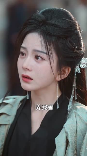 长明灯之青玉案（61集）热播短剧分享