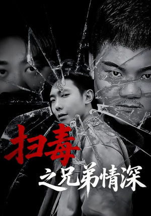 扫毒之兄弟情深短剧（50集警匪短剧完整版免费看）