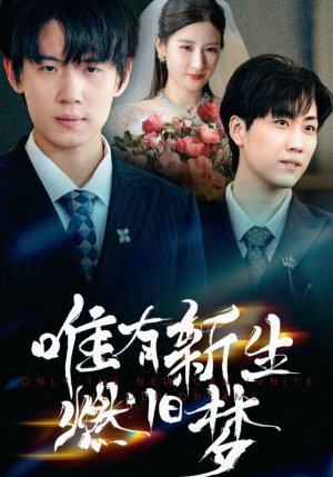 唯有新生燃旧梦短剧（55集情感短剧超清在线看全集）