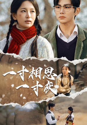 一寸相思一寸灰短剧（43集悲情短剧超清画质免费看）