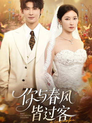 你与春风皆过客短剧（66集现代短剧完整版免费看）