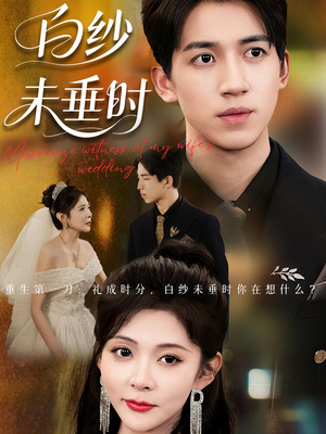 老婆婚礼，我当证婚人短剧（54集都市短剧在线观看全集）