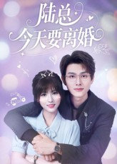陆总今天要离婚短剧（81集都市商战短剧免费看全集）
