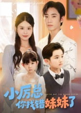 小厉总你找错妹妹了短剧（52集豪门短剧高清在线免费看）