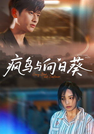 疯鸟与向日葵短剧（40集治愈短剧在线看全集）