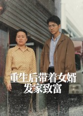 重生后带着女婿发家致富短剧（41集重生短剧在线高清免费观）