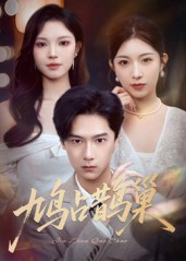 顶流夫人的致命陷阱短剧（70集权谋短剧免费看高清全集）
