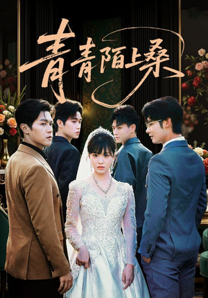 青青陌上桑短剧（70集古装短剧在线观看完整版）
