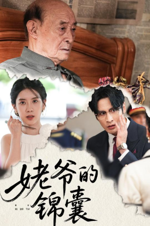姥爷的锦囊短剧（63集家庭短剧高清全集免费看）