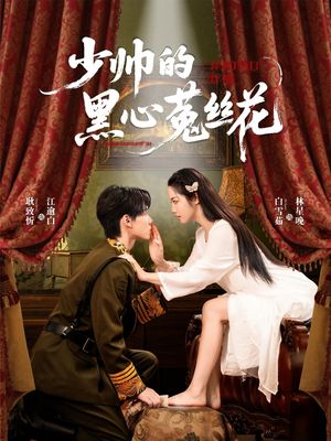 少帅的黑心菟丝花短剧（60集爱情短剧超清全集在线看）
