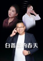 白蔷薇的春天短剧（86集浪漫爱情短剧高清在线看）