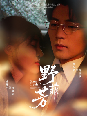野芳菲短剧（60集乡村短剧全剧免费观看）