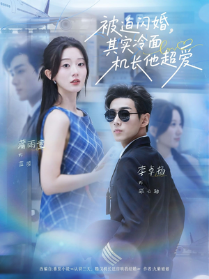 被迫闪婚其实冷面机长他超爱短剧（77集浪漫爱情短剧免费看全集）