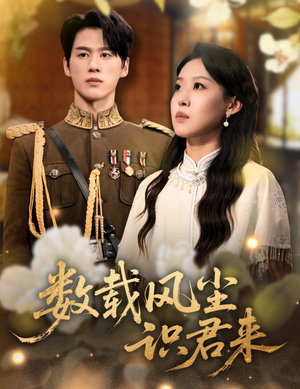 数载风尘识君来短剧（62集古风短剧在线看超清版）