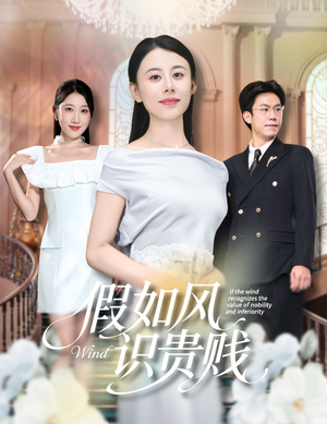 假如风识贵贱短剧（58集都市生活短剧全集免费看）
