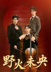 野火未央短剧（40集商战短剧视频免费看全集）