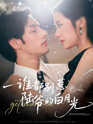 谁都别惹陆爷的白月光短剧（79集豪门短剧免费观看完整版）