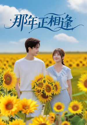 那年正相逢短剧（60集校园纯爱短剧免费看高清全集）