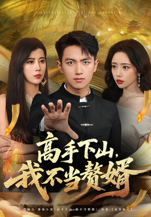 高手下山我不当赘婿短剧（66集热血逆袭短剧免费看全集）
