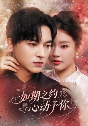 如期之约心动予你短剧（82集甜宠短剧高清全集免费看）