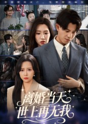 离婚当天世上再无我短剧（60集情感短剧在线观看完整版）