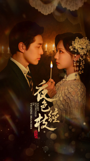 夜色缠枝百度HE版本短剧（62集甜宠短剧高清全集免费观看）