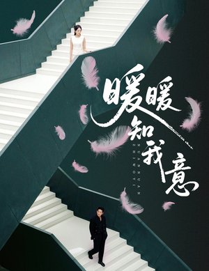 暖暖知我意短剧（61集都市短剧免费看完整版）