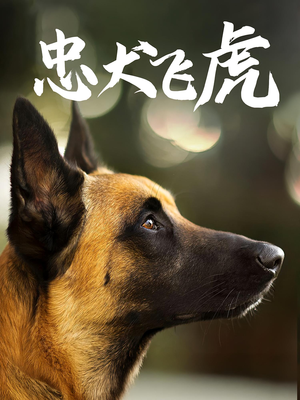 忠犬飞虎短剧（33集宠物情缘短剧免费看全集）