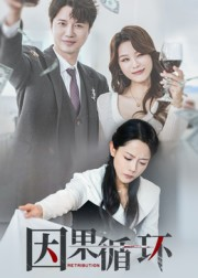 因果循环短剧（45集命运轮回短剧高清在线看）