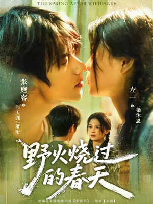 野火烧过的春天短剧（85集奋斗短剧在线看完整版）
