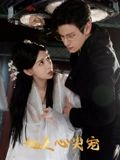 她是心尖宠短剧（76集甜宠短剧超清在线看）