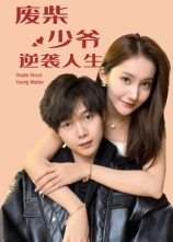 废柴少爷的逆袭人生短剧（75集逆袭短剧在线看高清无广告）