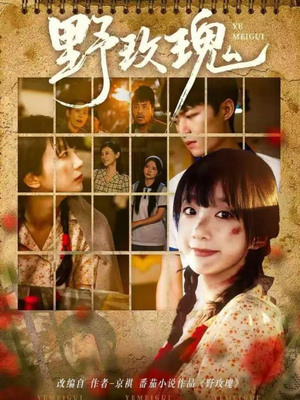 野玫瑰短剧（82集情感短剧在线免费观看）