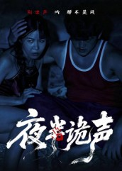 夜半诡声短剧（28集灵异短剧在线观看高清版）