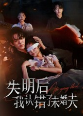失明后我认错了未婚夫短剧（34集情感纠葛短剧完整版免费观看）