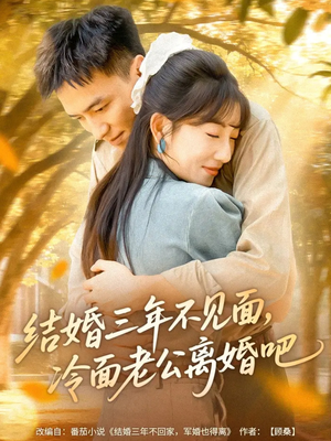结婚三年不见面，冷面老公离婚吧短剧（67集都市情感短剧高清全集在线看）