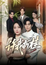 许我折桂短剧（70集奋斗青春短剧全集高清在线看）