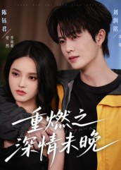 重燃之深情未晚短剧（70集情感短剧在线观看全集）