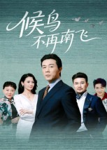 候鸟不再南飞短剧（80集温情短剧高清在线免费看）