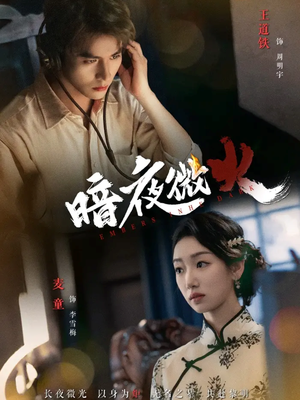 暗夜微火短剧（80集刑侦短剧超清完整版免费看）