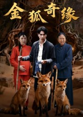 金狐奇缘短剧（42集奇幻短剧精彩剧情抢先看）