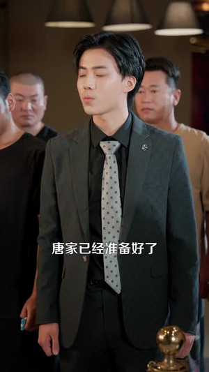 至尊神婿归来短剧（104集都市传奇短剧免费看完整版）