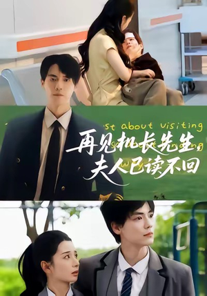 再见机长先生夫人已读不回短剧（62集都市情感短剧高清免费看全集）