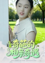 奇葩的相亲奇遇短剧（17集都市生活短剧全集免费看）