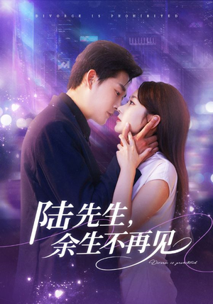 陆先生，余生不再见短剧（88集爱情悲剧短剧高清完整版在线看）