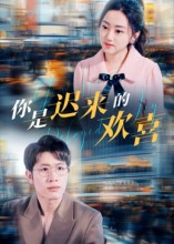 你是迟来的欢喜短剧（93集爱情甜宠短剧免费看全集）