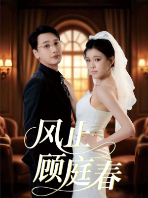 风止顾庭春短剧（51集都市短剧完整版免费观看）