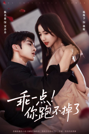 乖一点！你跑不掉了短剧（85集甜宠爱情短剧畅享全集观看）